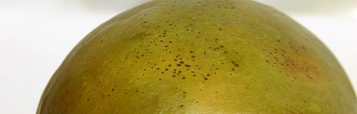To tell if a mango is ripe look for a black spots or streak
