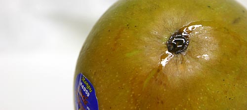 To tell if a mango is ripe look for a clear sap coming out near the stem