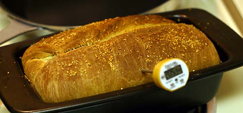 A loaf of american sandwich bread after baking