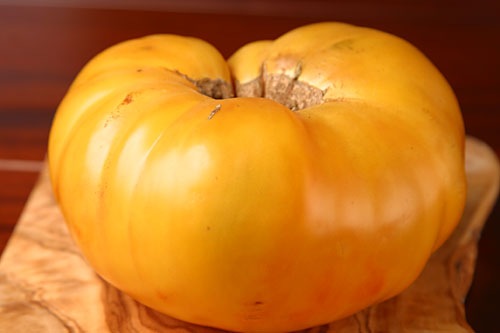 Yellow Heirloom Tomato