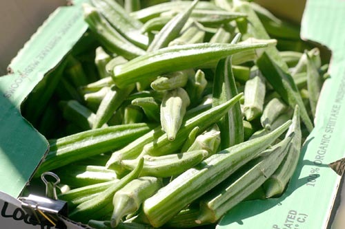 Okra