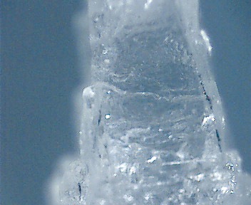 Salt-52008.jpg