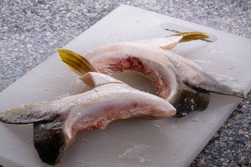 yellowtail-2009-3.jpg