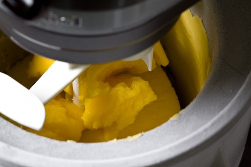 Mango Sorbet-2009-3.jpg