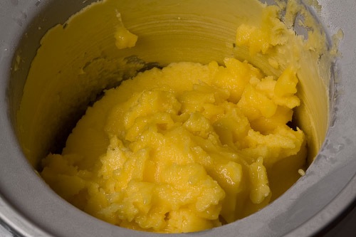 Mango Sorbet-2009-4.jpg