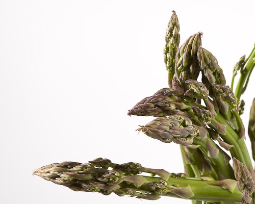 Roasted Asparagus-2009.jpg