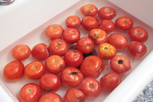 Roasted Tomato-9913.jpg