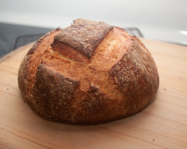 sourdough-0627-600px.jpg