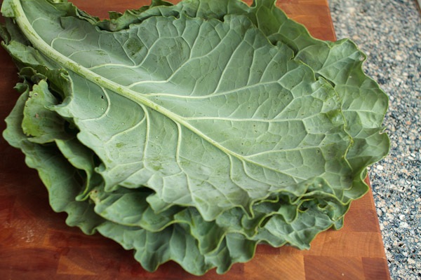 collards-3966-600px.jpg