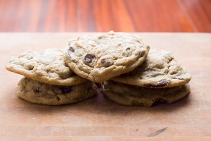 Choc-Chip-5207-600px.jpg