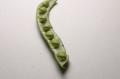 Food Photography With Flashes and Favas