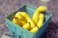 Pan Sauteed Tiny, Baby Squash
